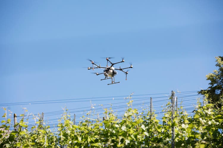 La Fondation Château Biberstein utilise des drones dans la viticulture pour pulvériser ses vignes avec des produits phytosanitaires.