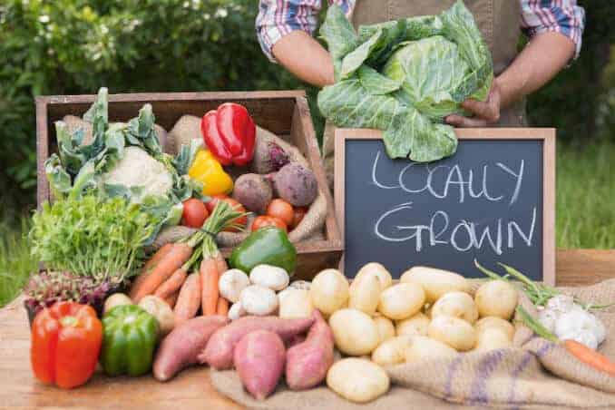 fruits et légumes bio frais, production régionale