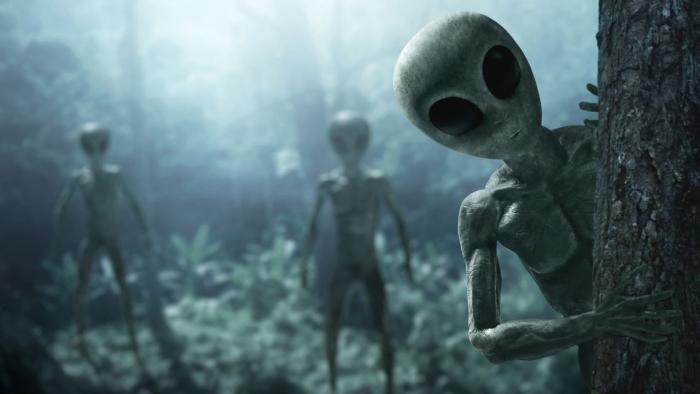 Créatures extraterrestres dans les bois