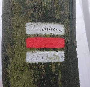 Risque de bêtise avec l’IA ? – elektro.at
